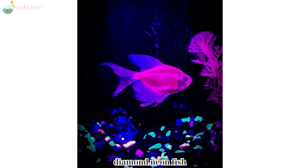 diamond neon fish